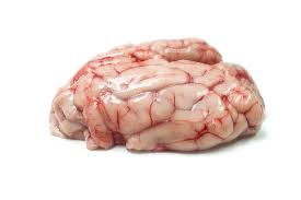 Pork Brain